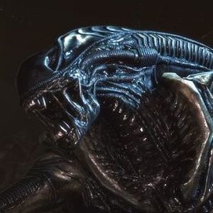 Meet your Posher, Matthias